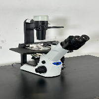 Olympus CKX53 Inverted Microscope image 0